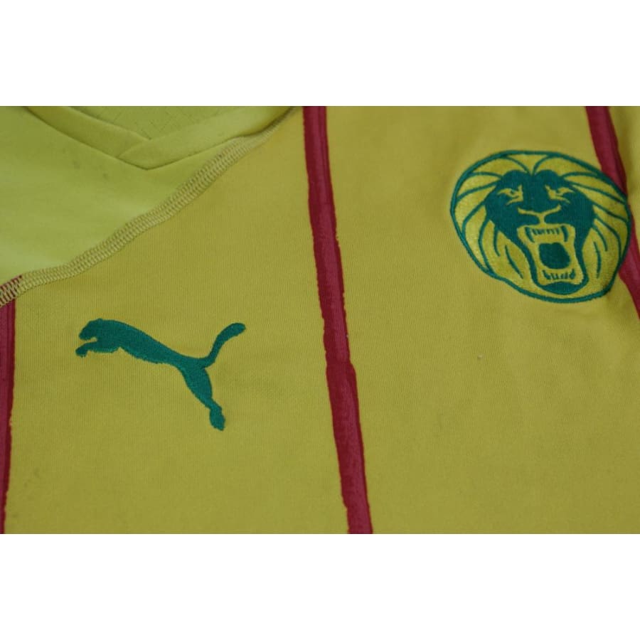 Maillot Cameroun vintage extérieur 2010-2011 - Puma - Cameroun