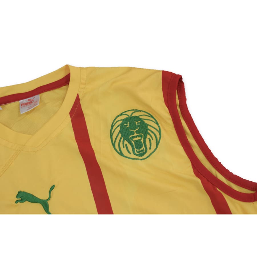 Maillot de foot retro sans manches équipe du Cameroun 2010-2011 - Puma - Cameroun