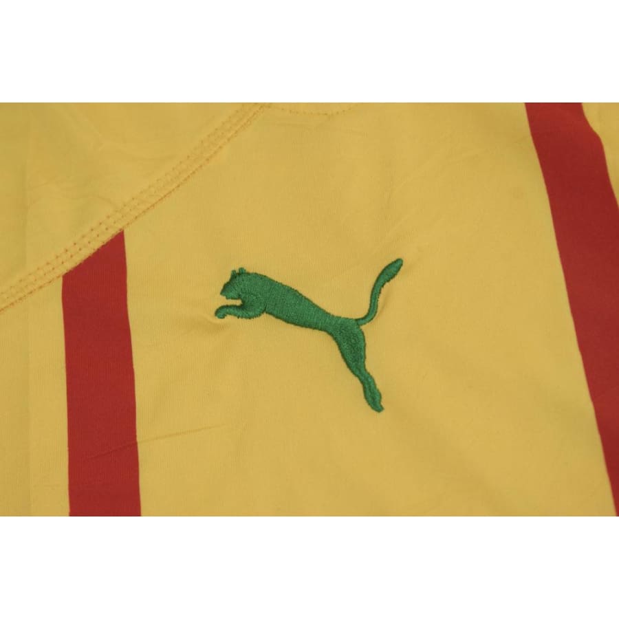 Maillot de foot retro sans manches équipe du Cameroun 2010-2011 - Puma - Cameroun